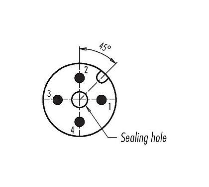 Disposizione dei contatti (lato connessione) M12 Connettore maschio a pannello, Numero poli: 4, non schermato, THT, IP67, Montaggio anteriore
