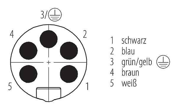 Polbild (Steckseite) 7/8" Kabelstecker, Polzahl: 5, ungeschirmt, am Kabel angespritzt, IP68, UL 2238, PUR, schwarz, 5 x 1,50 mm², 2 m
