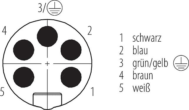Polbild (Steckseite) 7/8" Flanschstecker, Polzahl: 4+PE, ungeschirmt, Litzen, IP68, UL 2238, VDE, M20x1,5, Frontmontage, vergossen