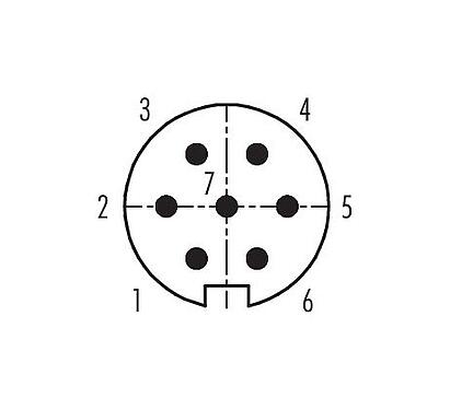 Disposition des contacts (Côté plug-in) 99 2025 10 07 - M16 Connecteur mâle, Contacts: 7 (07-a), 4,0-6,0 mm, blindable, souder, IP40