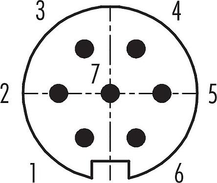 Disposition des contacts (Côté plug-in) M16 Connecteur mâle, Contacts: 7 (07-a), 6,0-8,0 mm, blindable, souder, IP40
