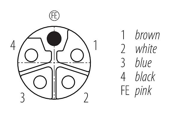 Disposition des contacts (Côté plug-in) 77 0650 0649 50505-0200 - M12 Connecteur mâle - connecteur femelle M12x1, Contacts: 4+FE, non blindé, surmoulé sur le câble, IP68, PUR, noir, 5 x 2,50 mm², UL en préparation, 2 m