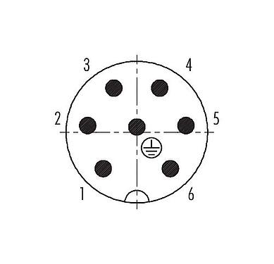 Polbild (Steckseite) RD24 Kabelstecker, Polzahl: 6+PE, 8,0-10,0 mm, ungeschirmt, crimpen (Crimpkontakte müssen separat bestellt werden), IP67, UL, ESTI+, VDE, PG 11