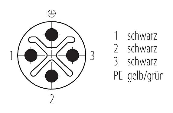 Polbild (Steckseite) M12 Verbindungsleitung Kabelstecker - Kabeldose, Polzahl: 3+PE, ungeschirmt, am Kabel angespritzt, IP68, UL 2238, M12x1,0, PUR, schwarz, 4 x 1,50 mm², 2 m