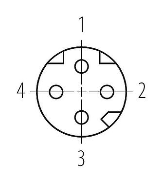 Polbild (Steckseite) M8 Kabeldose, Polzahl: 4, 5,0-8,0 mm, schirmbar, schraubklemm, IP67, M8x1,0, Irisfeder