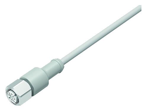 插圖 M12 直頭孔頭電纜連接器, : 12, 非遮罩, 預鑄電纜, IP67/IP69K, UL 2238, Ecolab, PVC, 灰色, 12x0.25mm², 不鏽鋼, 2m