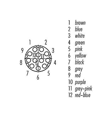 Contact arrangement (Plug-in side) M8 Female panel mount connector, Contacts: 12, unshielded, single wires, IP67/IP69K, UL 2238, M12x1.0, Rear mounting