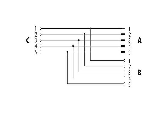 Belegungspläne M12 Zweifachverteiler, Y-Verteiler, Stecker - 2 Dosen, Polzahl: 5, ungeschirmt, steckbar, IP68, UL 2238