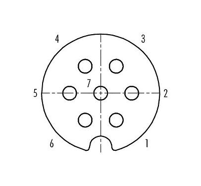 Contact arrangement (Plug-in side) Bayonet Female cable connector, Contacts: 7, 5.0-8.0 mm, shieldable, solder, IP40