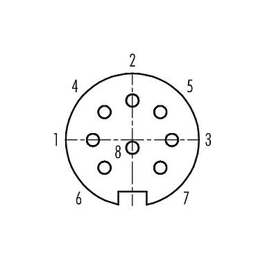Polbild (Steckseite) Push Pull Flanschdose, Polzahl: 8, schirmbar, löten, IP67, M21x1,0, Rückwandmontage