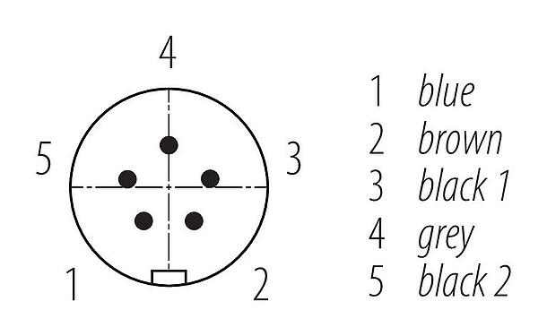 联系安排 (外掛程式側) Snap-in 快插 直头针头电缆连接器, 极数: 5, 非屏蔽, 预铸电缆, IP67, VDE, PUR, 黑色, 5x0.75mm², 2m