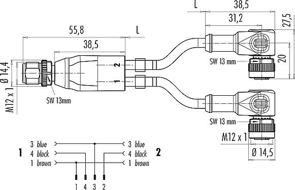 Scale drawing M12 Male cable splitter - 2 female angled connector, Contacts: 4/3, unshielded, moulded on the cable, IP68, UL 2238, PUR, black, 3 x 0.34 mm², 2 m