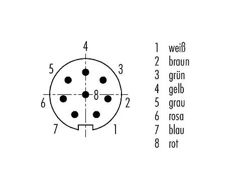 Polbild (Steckseite) M9 Kabelstecker, Polzahl: 8, ungeschirmt, am Kabel angespritzt, IP67, PUR, schwarz, 8 x 0,14 mm², 5 m