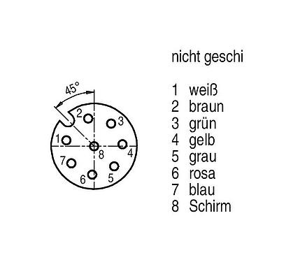 Polbild (Steckseite) M12 Kabeldose, Polzahl: 8, geschirmt, am Kabel angespritzt, IP67, PUR, schwarz, 7 x 0,25 mm², 2 m