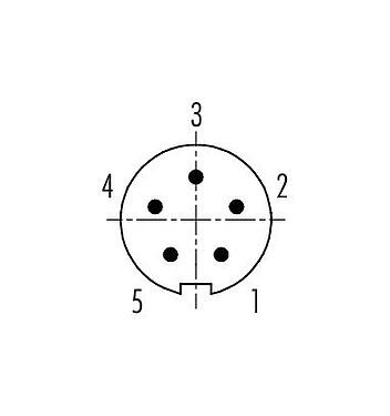 Polbild (Steckseite) 99 0995 100 05 - Bajonett Kabelstecker, Polzahl: 5, 3,0-4,0 mm, ungeschirmt, löten, IP40