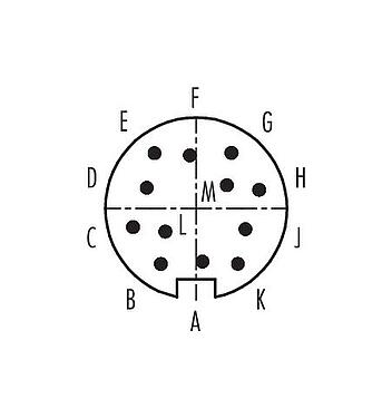Disposition des contacts (Côté plug-in) Baïonnette Connecteur mâle, Contacts: 12, 6,0-8,0 mm, non blindé, souder, IP40