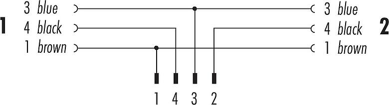 Pin assignment plans M12/M8 Male cable splitter - 2 female angled connector, Contacts: 4/3, unshielded, moulded on the cable, IP67, UL 2238, PUR, black, 3 x 0.34 mm², with LED PNP, 2 m