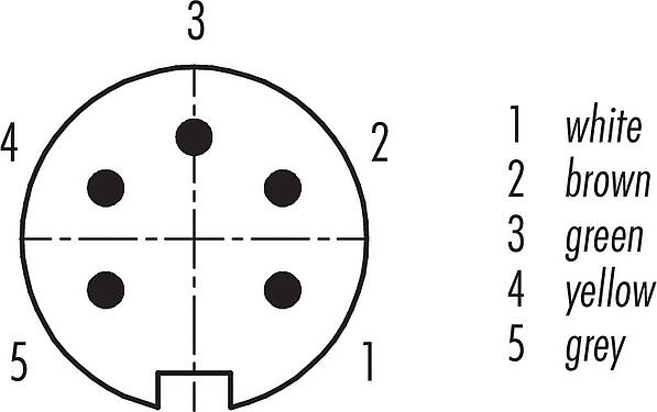 觸點排列 M16 針頭法蘭座, : 5 (05-a), 非遮罩, 帶導線, IP40, M18x0,75, 後壁安裝