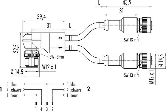 Maßzeichnung M12 Kabelsplitter Winkelstecker - 2 Kabeldosen, Polzahl: 4/3, ungeschirmt, am Kabel angespritzt, IP67, UL 2238, PUR, schwarz, 3 x 0,34 mm², 1 m