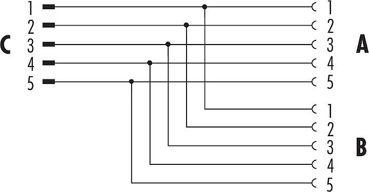 Pin assignment plans M12 Twin distributors, T-distributor, male connector - 2 female connector, Contacts: 5, unshielded, pluggable, IP68, UL 2238