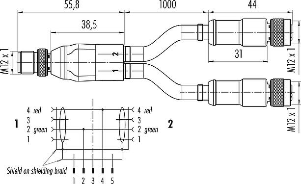 Scale drawing M12 Male cable splitter - 2 female cable connectors, Contacts: 2, shielded, moulded on the cable, IP67, Profibus, PUR, violet, 2 x 0.25 mm², 1 m