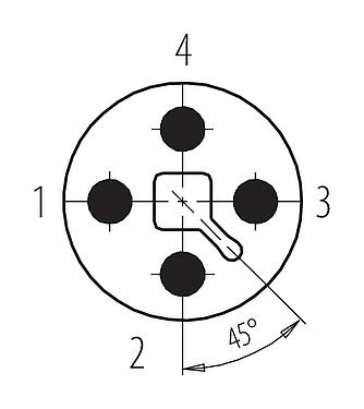 联系安排 (外掛程式側) M12 直头针头电缆连接器, 极数: 4, 8.0-10.0mm, 非屏蔽, 螺钉接线, IP67, UL 2238, VDE