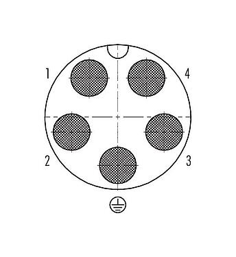 Polbild (Steckseite) Bajonett Kabelstecker, Polzahl: 4+PE, 7,0-17,0 mm, ungeschirmt, crimpen (Crimpkontakte müssen separat bestellt werden), IP68/IP69K, UL 2238, VDE, UV-Beständig