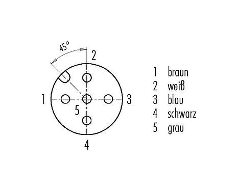 Polbild (Steckseite) M12 Flanschdose, Polzahl: 5, ungeschirmt, Litzen, IP68/IP69K, UL 2238, M16x1,5, Frontmontage, Edelstahl, positionierbar, vergossen