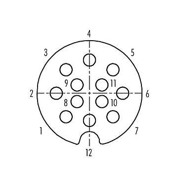 Disposizione dei contatti (lato connessione) Baionetta Connettore cavo femmina, Numero poli: 12, 5,0-8,0 mm, schermabile, saldare, IP40