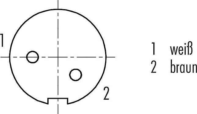 Polbild (Steckseite) M9 Kabeldose, Polzahl: 2, geschirmt, am Kabel angespritzt, IP67, PUR, schwarz, 5 x 0,25 mm², 2 m