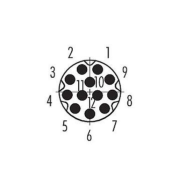 Uspořádání kontaktů (strana zástrčky) M8 Přírubová zátka, : 12, nestíněný, THT, IP67/IP69K, UL 2238, M8x1,0, Montáž na zadní stěnu, Šroubovatelné zepředu