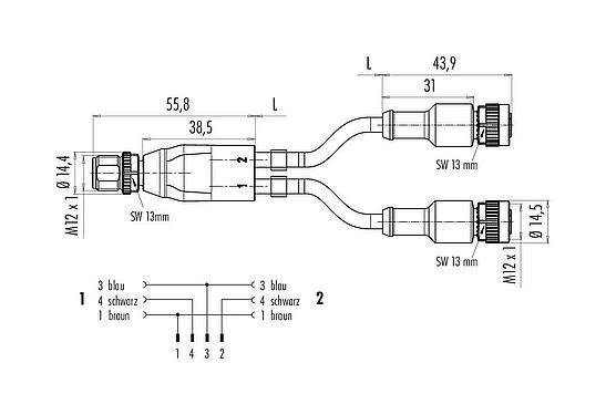 Maßzeichnung M12 Kabelsplitter Kabelstecker - 2 Kabeldosen, Polzahl: 4/3, ungeschirmt, am Kabel angespritzt, IP68, UL 2238, PUR, schwarz, 3 x 0,34 mm², 1 m