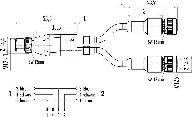 Maßzeichnung M12 Kabelsplitter Kabelstecker - 2 Kabeldosen, Polzahl: 4/3, ungeschirmt, am Kabel angespritzt, IP68, UL 2238, PUR, schwarz, 3 x 0,34 mm², 2 m