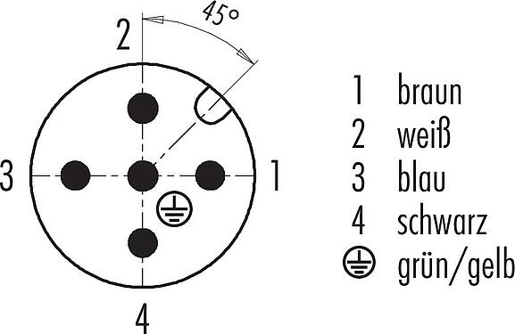 Polbild (Steckseite) M12 Kabelstecker, Polzahl: 5, ungeschirmt, am Kabel angespritzt, IP68/IP69K, PUR, schwarz, 5 x 0,34 mm², für Schweißanwendungen, 2 m