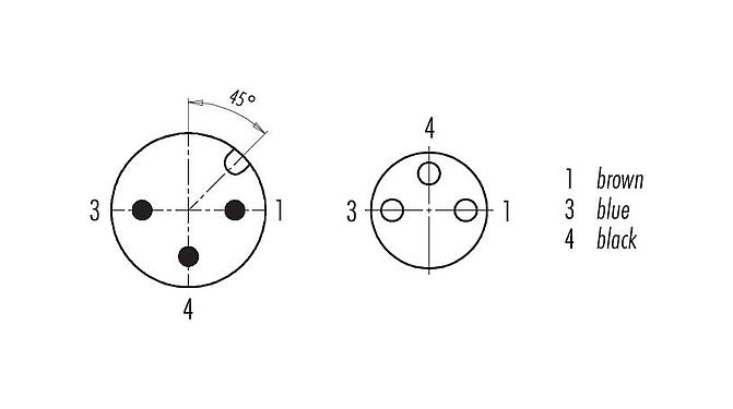 Disposition des contacts (Côté plug-in) 77 3429 3406 50003-0100 - M12 Connecteur mâle - connecteur femelle M8x1, Contacts: 3, non blindé, surmoulé sur le câble, IP67, UL, PUR, noir, 3 x 0,34 mm², 1 m