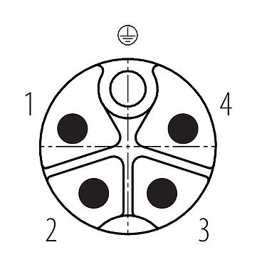 Disposition des contacts (Côté plug-in) M12 Connecteur mâle, Contacts: 4+PE, 8,0-13,0 mm, non blindé, pince à visser, IP67, UL 2237 en préparation, avec connexion PE