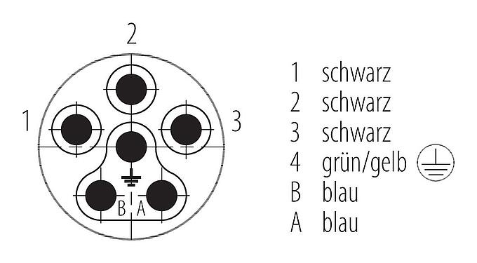 Polbild (Steckseite) Bajonett Flanschstecker, Polzahl: 6, ungeschirmt, Litzen, IP66/IP67, UL 2237, M20x1,5, Frontmontage