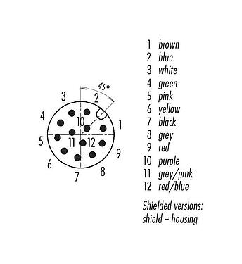 Contactconfiguratie (Insteekbereik) M12 Kabelstekker, aantal polen: 12, afgeschermd, aan de kabel aangegoten, IP67, UL 2238, PUR, zwart, 12 x 0,25 mm², 2 m