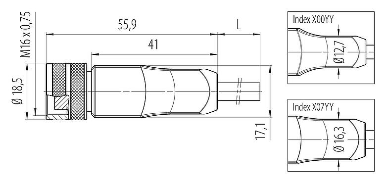 Schaaltekening M16 Kabeldoos, aantal polen: 12, afgeschermd, aan de kabel aangegoten, IP67, PUR, zwart, 12 x 0,25 mm², 2 m