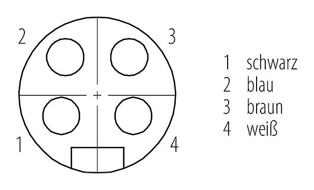 Polbild (Steckseite) 7/8" Flanschdose, Polzahl: 4, ungeschirmt, Litzen, IP68, UL 2238, VDE, M20x1,5, Frontmontage, vergossen