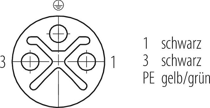 Polbild (Steckseite) M12 Kabeldose, Polzahl: 2+PE, ungeschirmt, am Kabel angespritzt, IP68, UL 2238, PUR, schwarz, 3 x 1,50 mm², 2 m