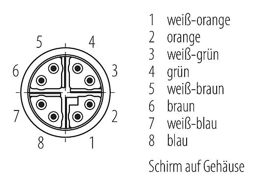 Polbild (Steckseite) M12 Verbindungsleitung 2 Kabelstecker, Polzahl: 8, geschirmt, am Kabel angespritzt, IP67, UL, PUR, grün, AWG 26/7, 5 m