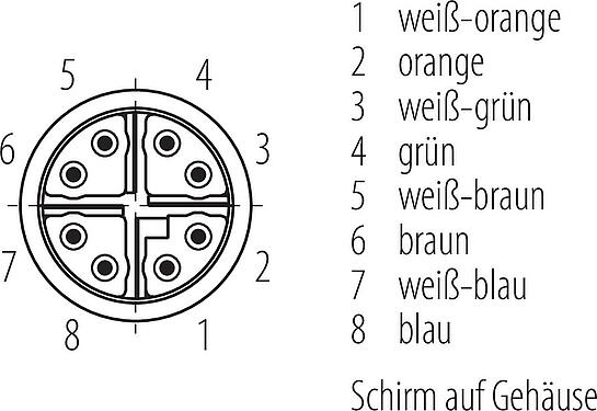 Polbild (Steckseite) M12 Verbindungsleitung Kabelstecker - Kabeldose, Polzahl: 8, geschirmt, am Kabel angespritzt, IP67, UL, PUR, grün, AWG 26/7, 2 m