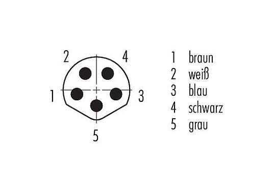 Polbild (Steckseite) M8 Kabelstecker, Polzahl: 5, ungeschirmt, am Kabel angespritzt, IP67/IP69K, UL 2238, PUR, schwarz, 5 x 0,34 mm², 5 m