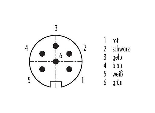 Polbild (Steckseite) M16 Kabelstecker, Polzahl: 6 (06-a), geschirmt, am Kabel angespritzt, IP67, PUR, schwarz, 6 x 0,25 mm², 2 m