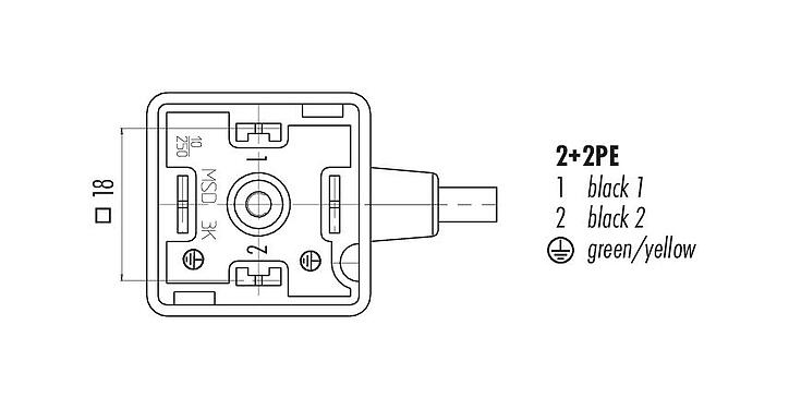 Disposition des contacts (Côté plug-in) 31 5236 500 510 - Douille d'électrovanne, Contacts: 2+2PE, non blindé, surmoulé sur le câble, IP67, PUR, noir, Circuit Z10, avec LED, PNP, 5 m