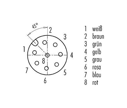 Polbild (Steckseite) 77 3420 0000 50708-0500 - M12 Kabeldose, Polzahl: 8, ungeschirmt, am Kabel angespritzt, IP68, UL, PUR, schwarz, 8 x 0,25 mm², 5 m