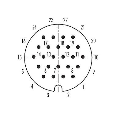 Disposition des contacts (Côté plug-in) 99 0739 00 24 - RD30 Embase mâle, Contacts: 24, non blindé, souder, IP65