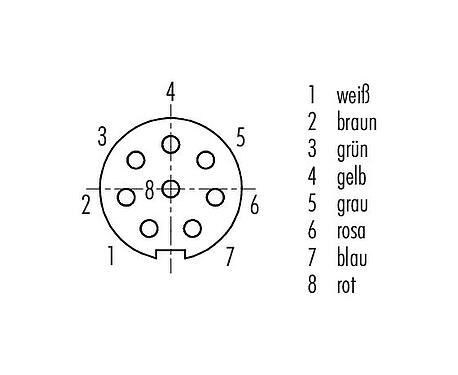 Polbild (Steckseite) M9 Kabeldose, Polzahl: 8, ungeschirmt, am Kabel angespritzt, IP67, PUR, schwarz, 8 x 0,14 mm², 2 m