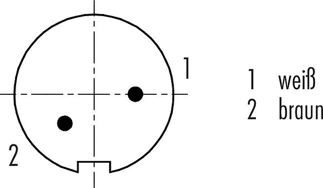 Polbild (Steckseite) M9 Kabelstecker, Polzahl: 2, geschirmt, am Kabel angespritzt, IP67, PUR, schwarz, 5 x 0,25 mm², 2 m